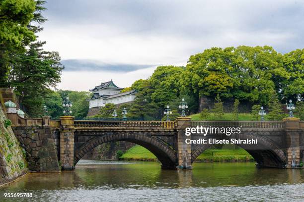 imperial palace of tokyo. - elisete shiraishi stock pictures, royalty-free photos & images