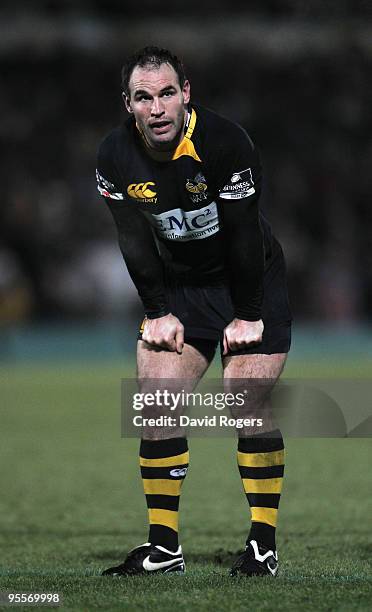 Mark Robinson of Wasps looks on during the Guinness Premiership match between London Wasps and Newcastle Falcons at Adams Park on January 3, 2010 in...