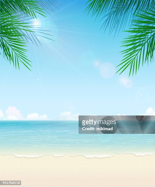 illustrazioni stock, clip art, cartoni animati e icone di tendenza di sfondo spiaggia tropicale - composizione verticale