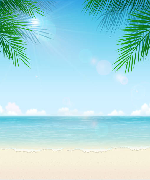 tropical beach background - summer background stock illustrations