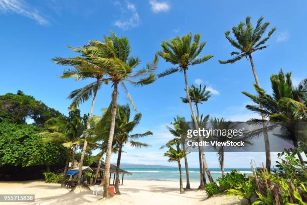boracay island,philippines - boracay beach stock pictures, royalty-free photos & images