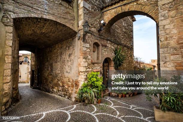 bibbona in the val di cecina, livorno, tuscany, italy - bibbona stockfoto's en -beelden