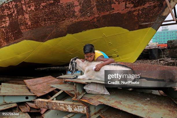Children poses for photograph with goat in ship propeller making factory in Dhaka, Banhladesh on May 07, 2018.