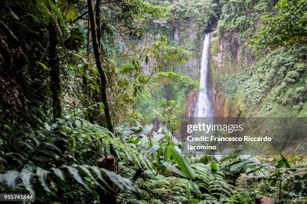 costa rica, catarata del toro - iacomino costa rica stock pictures, royalty-free photos & images