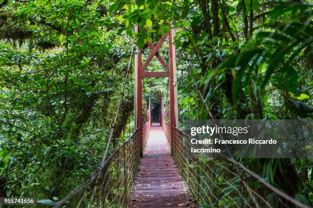 monteverde bridge on cloud forest, costa rica - iacomino costa rica stock pictures, royalty-free photos & images