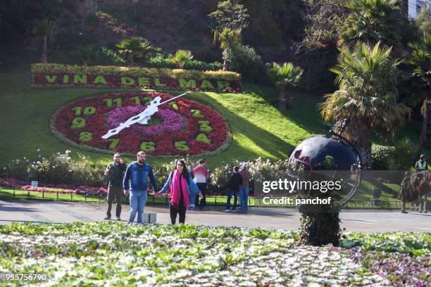 blomma klocka - viña del mar bildbanksfoton och bilder