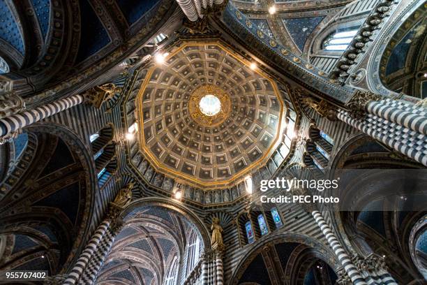 duomo, siena, italy - palio di siena stock-fotos und bilder