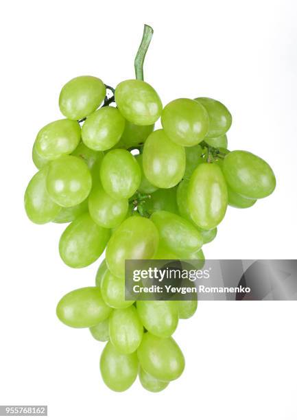 fresh green grapes isolated on white background - uva fotografías e imágenes de stock