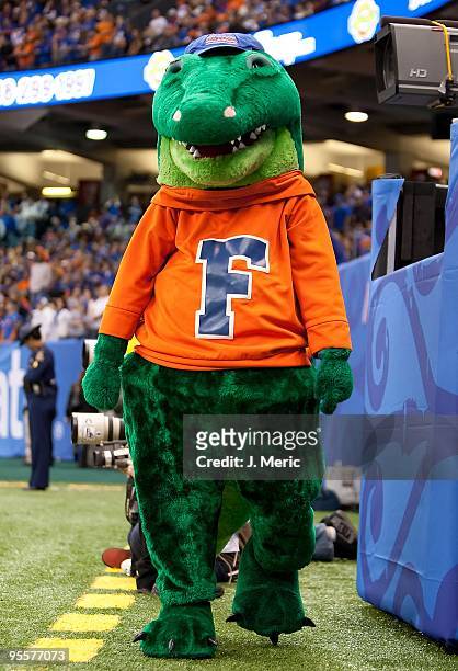 Mascot Albert the Alligator of the Florida Gators walks along the sideline against the Cincinnati Bearcats during the Allstate Sugar Bowl at the...