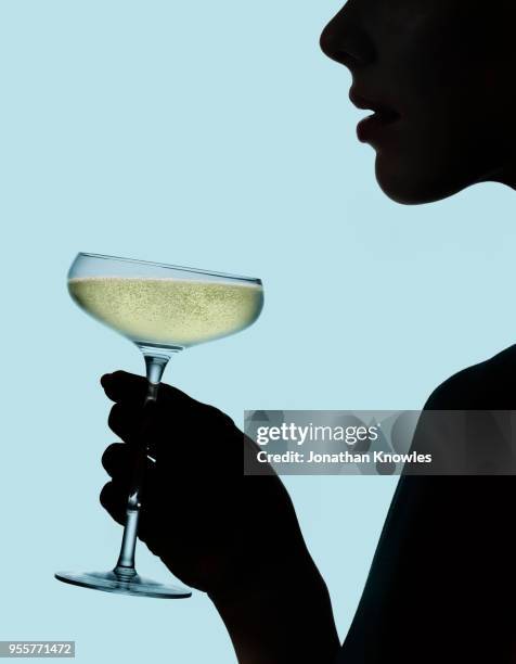 silhouette of female holding champagne - champagne stock pictures, royalty-free photos & images