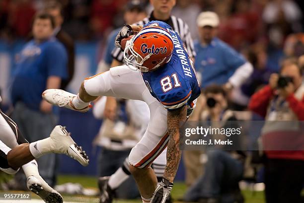 Tightend Aaron Hernandez of the Florida Gators makes a catch against the Cincinnati Bearcats during the Allstate Sugar Bowl at the Louisiana...