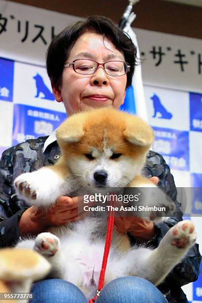 Masaru, a female Akita Inu dog to be given to figure skating champion Alina Zagitova of Russia, is shown to the public at an event organized by...
