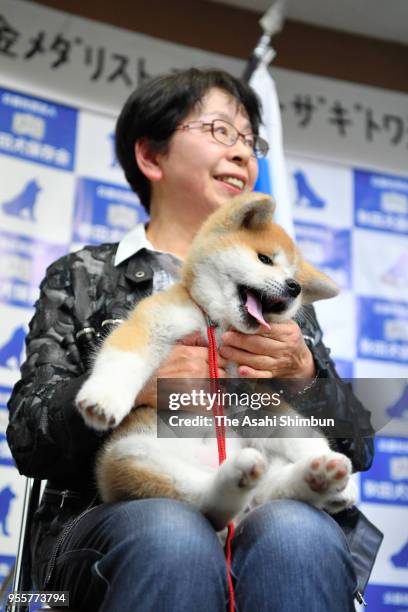 Masaru, a female Akita Inu dog to be given to figure skating champion Alina Zagitova of Russia, is shown to the public at an event organized by...