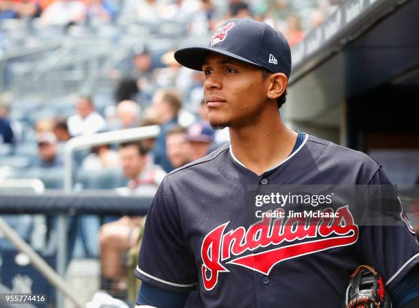 Erik Gonzalez of the Cleveland Indians looks on against the New York Yankees at Yankee Stadium on May 5, 2018 in the Bronx borough of New York City....