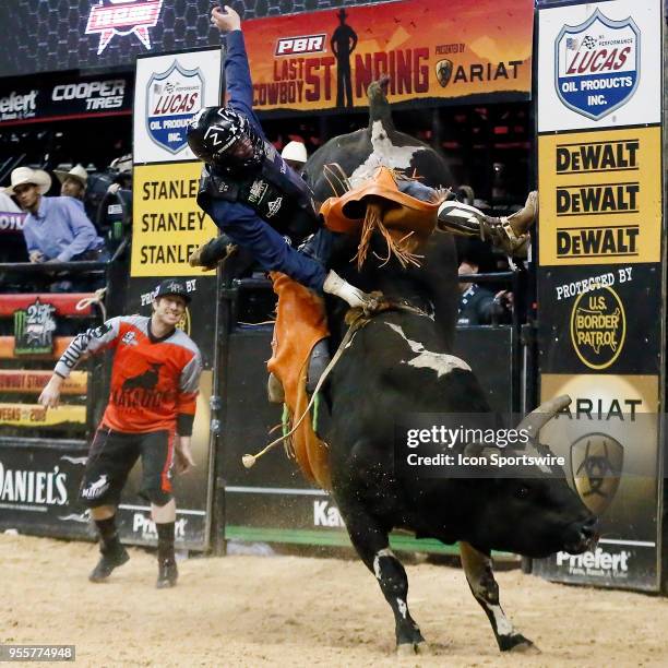 Pro Rodeo Photos 319 Professional Rodeo Cowboy Association Stock Photos, High-Res ...