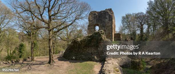 ruins of ewloe castle, north wales, uk - stitched image stock pictures, royalty-free photos & images