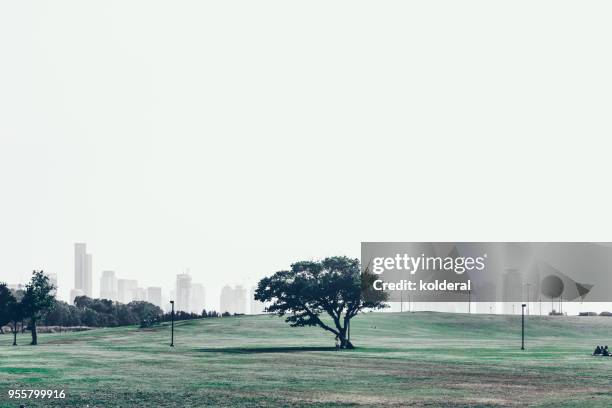 public park with distant view of the city - yarkon park stock pictures, royalty-free photos & images