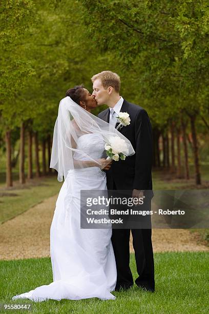 bride and groom kissing in grass - reston stockfoto's en -beelden