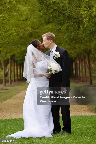 bride and groom kissing in grass - reston stock pictures, royalty-free photos & images