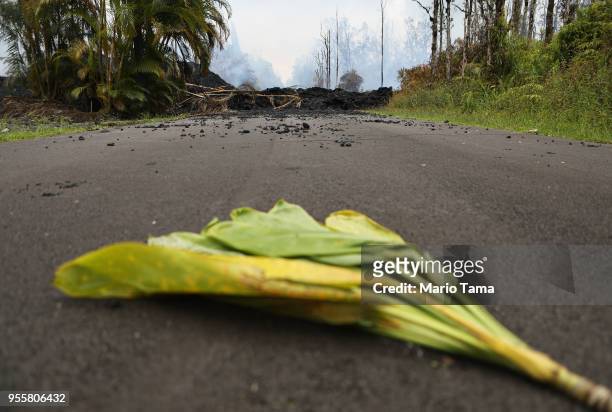 Ti leaf is left in the street near a lava flow, meant as an offering to the Hawaiian volcano goddess Pele, in the Leilani Estates neighborhood in the...