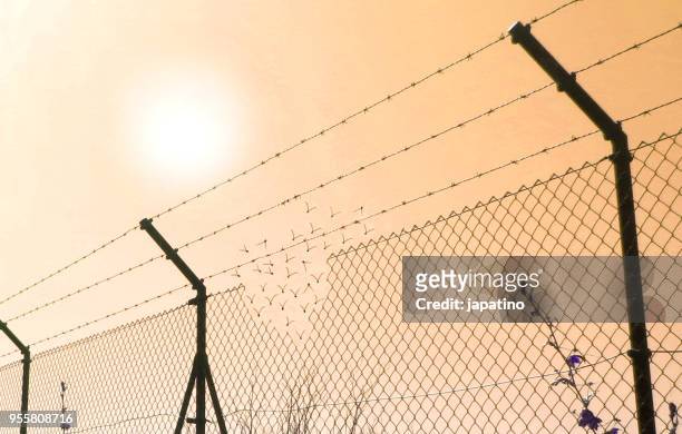 border fence wall against illegal immigration - crossing sign - fotografias e filmes do acervo