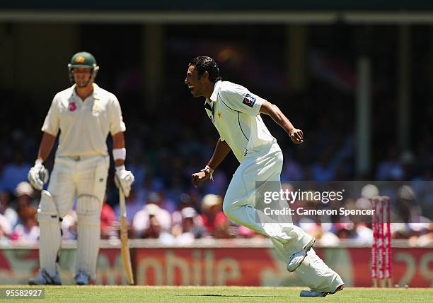 Danish Kaneria of Pakistan celebrates dismissing Phillip Hughes of Australia catching Hughes off his own delivery during the Second Test match...