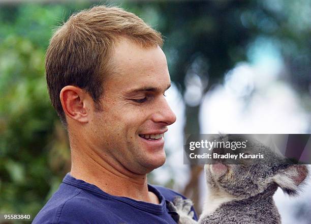 Tennis player Andy Roddick of the USA takes time out from the Brisbane International 2010 to hold a Koala at the Lone Pine Koala Sanctuary on January...