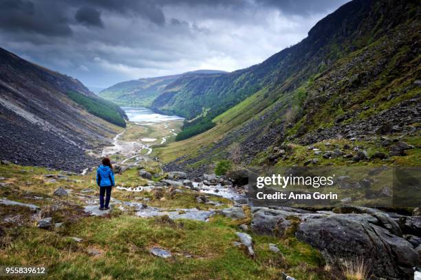 woman looking out on glendalough valley along gleneaolo valley walk in wicklow mountains, ireland, stormy spring afternoon - wicklow mountains stock pictures, royalty-free photos & images