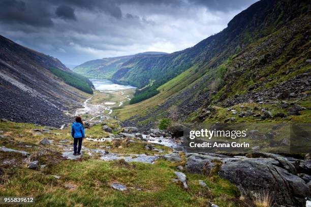 woman looking out on glendalough valley along gleneaolo valley walk in wicklow mountains, ireland, stormy spring afternoon - ireland travel stock pictures, royalty-free photos & images