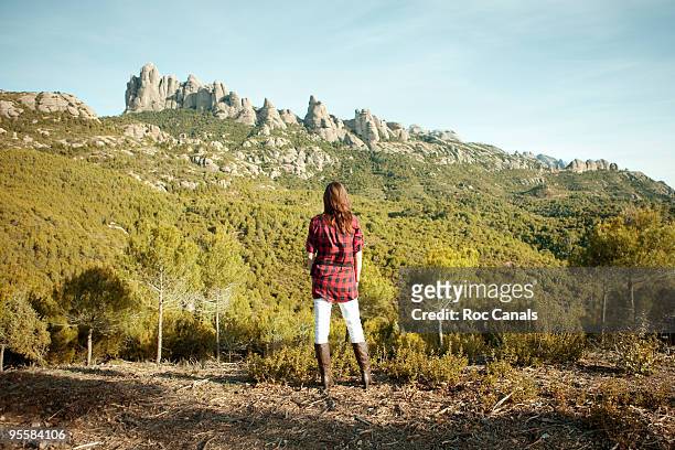 back - monserrat mountain stock pictures, royalty-free photos & images