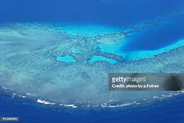 round shape coral reef - nadi foto e immagini stock