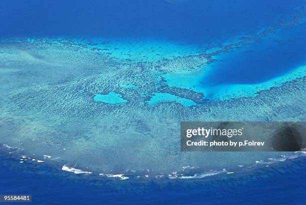 round shape coral reef - nadi - fotografias e filmes do acervo