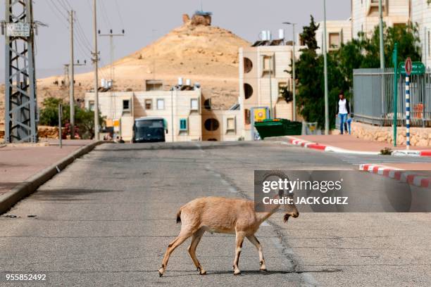 Mitzbe Ramon Mitzpe Ramon Photos and Premium High Res Pictures - Getty Images