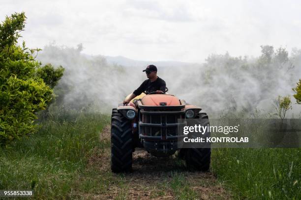 Worker is doing an anti-parasitic treatment with pesticides on a farm. The use of pesticides is being reduced all over the world as they pollute...