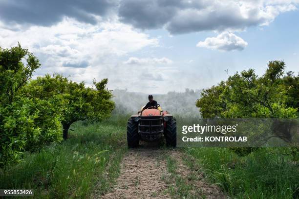 Worker is doing an anti-parasitic treatment with pesticides on a farm. The use of pesticides is being reduced all over the world as they pollute...