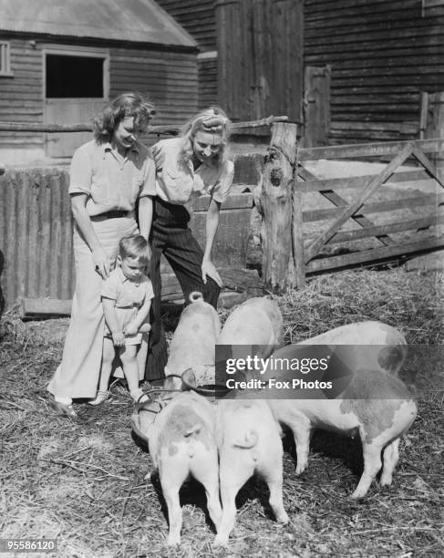 English singer Vera Lynn , with actress Florence Desmond on Desmond's farm in Essex, July 1941. Lynn is staying at the farm while recovering from an...