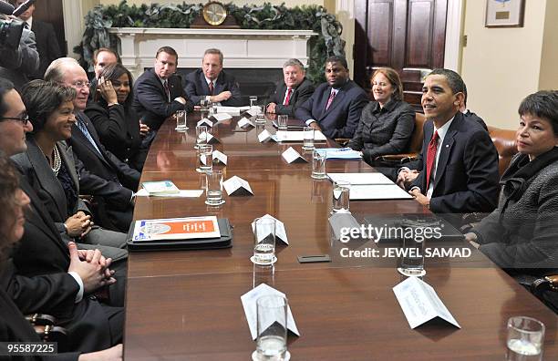 President Barack Obama speaks during a meeting with CEOs of several small and community banks on December 22, 2009. Obama met to to discuss ways to...