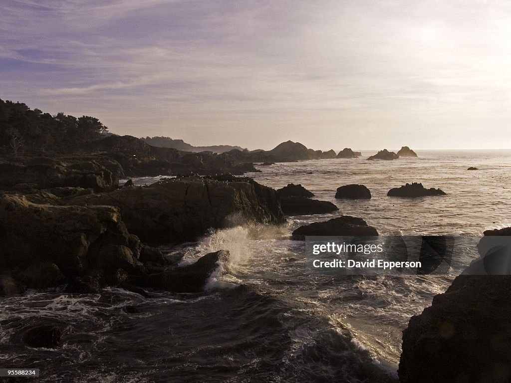 Point Lobos National Preserve