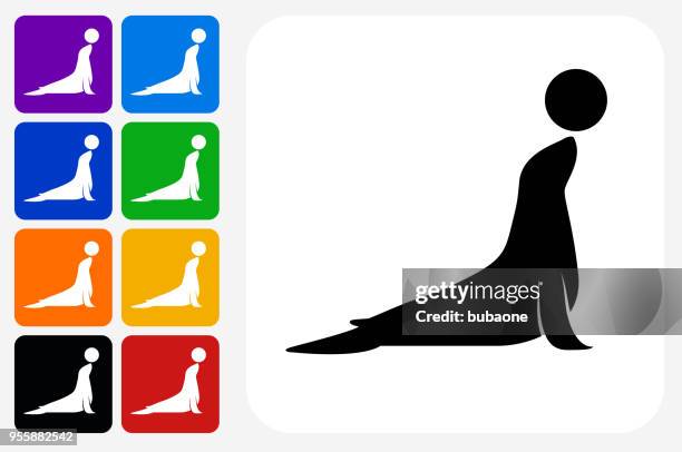 ilustrações de stock, clip art, desenhos animados e ícones de sea lion icon square button set - seal animal