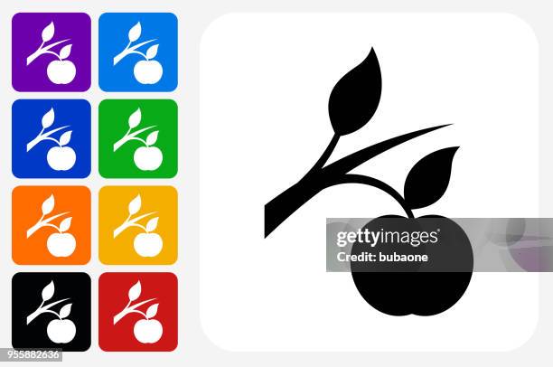 growing apple icon square button set - hanging succulent stock illustrations