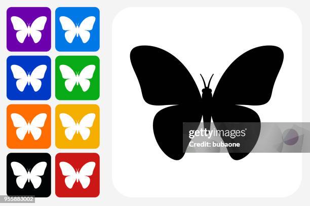 illustrazioni stock, clip art, cartoni animati e icone di tendenza di set di pulsanti quadrati dell'icona farfalla - farfalle