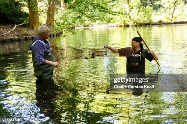 Fisherman Klaus Hidde and nature and landscape guide Malte Frerichs catching red swamp crayfish during a media opportunity in waters in Tiergarten...