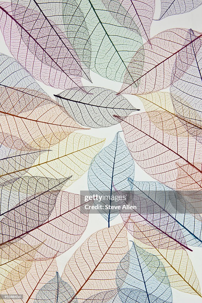 Fabric Leaves 