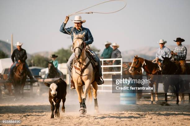 Bull Head Roping 547 Bull Mounting Cow Stock Photos, High-Res Pictures, and Images ...