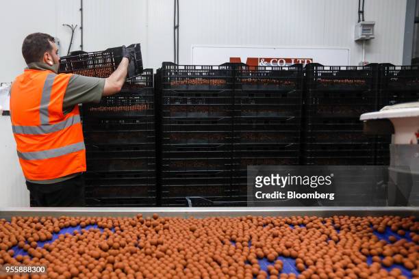 An employee stacks baskets of boilies, a Carp fishing bait, at the C.C. Moore and Co. Ltd. Fishing bait manufacturers in Stalbridge, U.K., on Monday,...