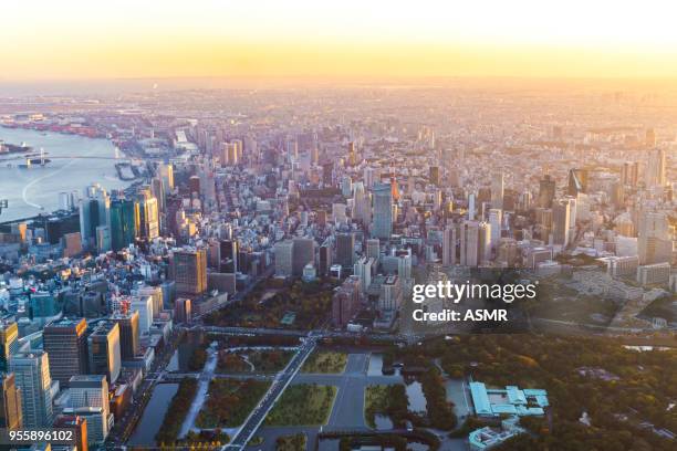 aerial view of tokyo japan skyline - tokyo tower minato stock pictures, royalty-free photos & images