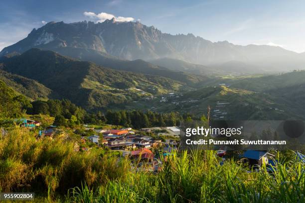 kinabalu mountain massif in a morning sunrise, boneo island, malaysia - borneo - fotografias e filmes do acervo