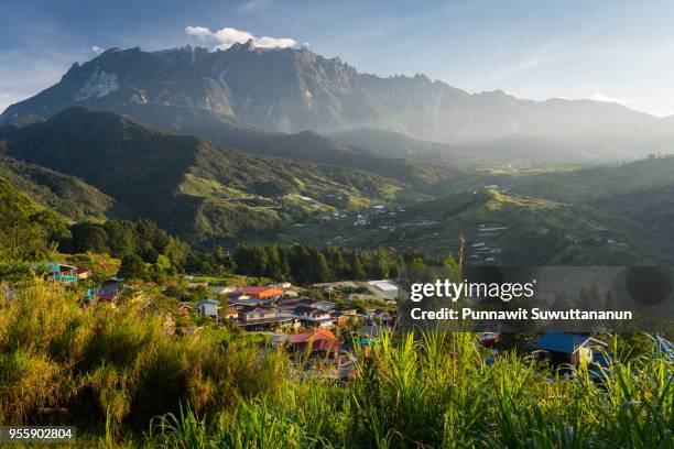 kinabalu mountain massif in a morning sunrise, boneo island, malaysia - 婆羅洲島 個照片及圖片檔