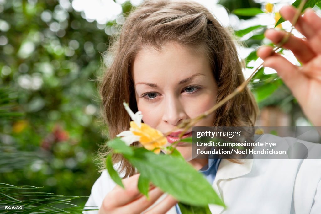 Woman looking closely to part of a plant