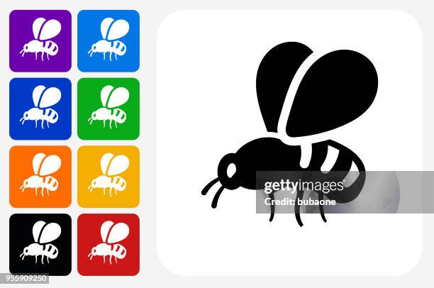 bee icon square button set - wasp stock illustrations